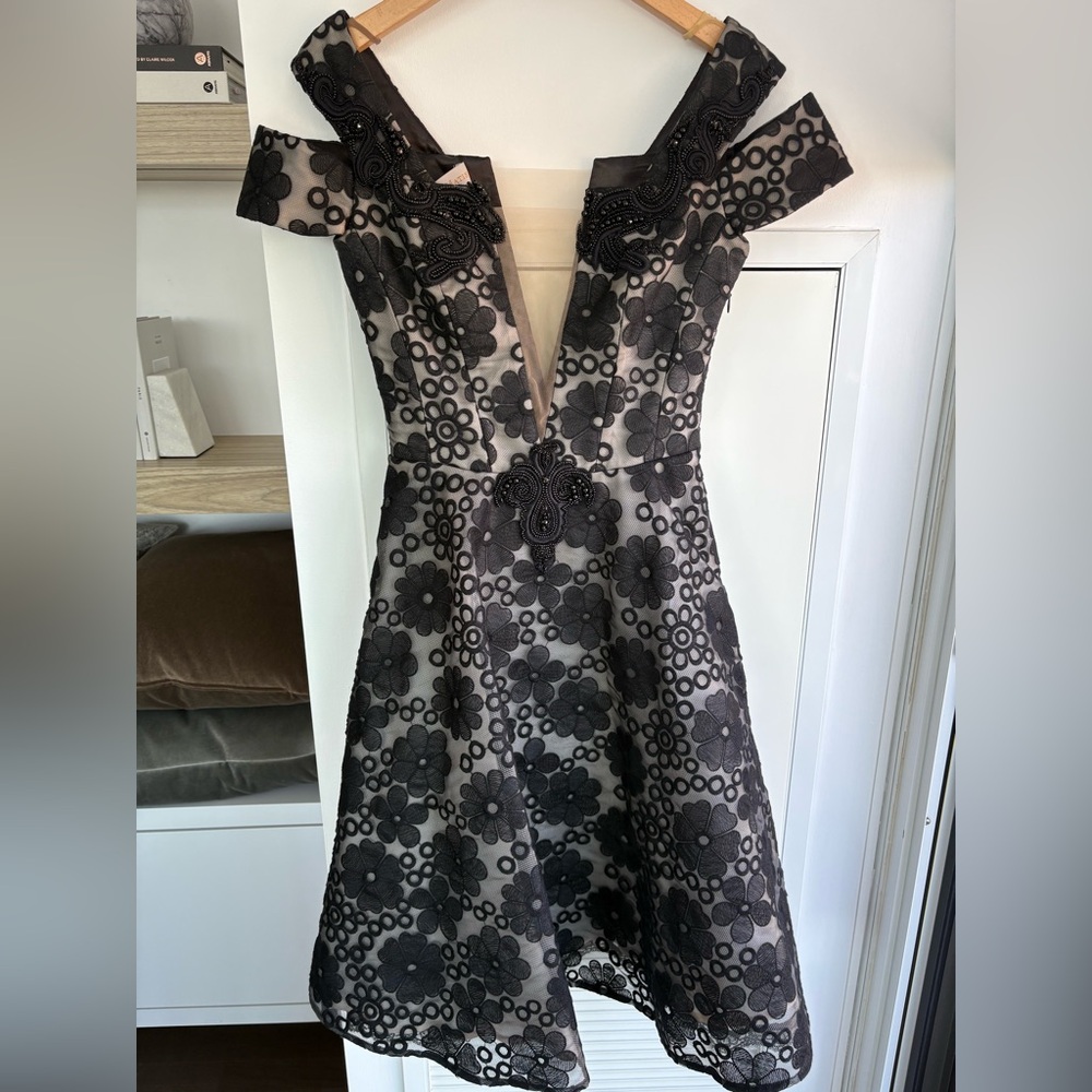 Stunning Lucian Matis Dress